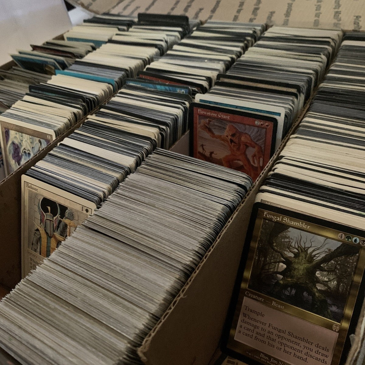 Card decks stacked in cardboard boxes, with several Magic: The Gathering cards visible on top, including a Fungal Shamble card.